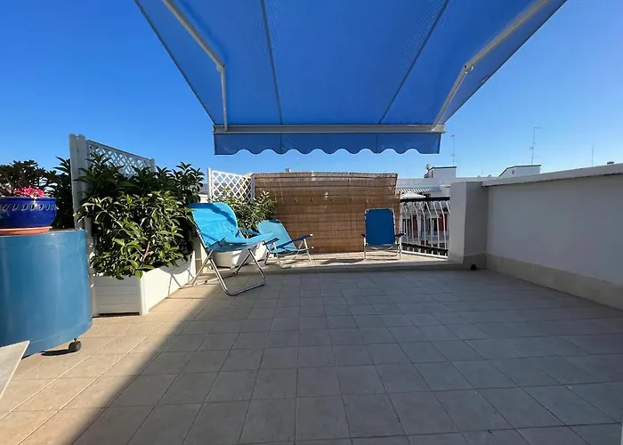 Summer Paradise 巴里