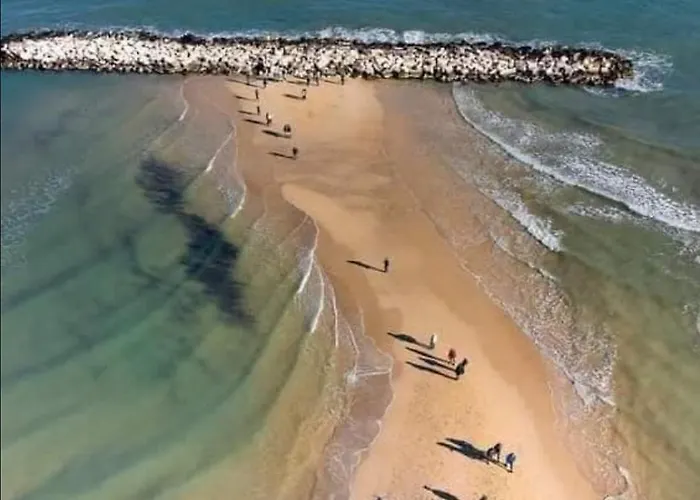 Summer Paradise 公寓