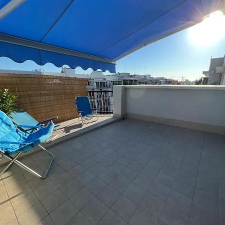 Summer Paradise * باري