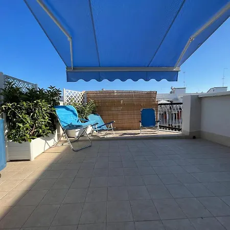 Summer Paradise בארי